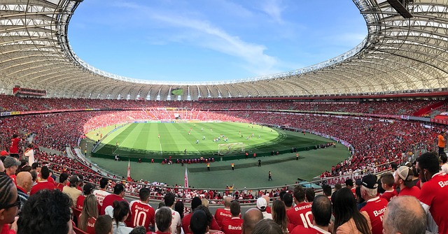 争取世界杯