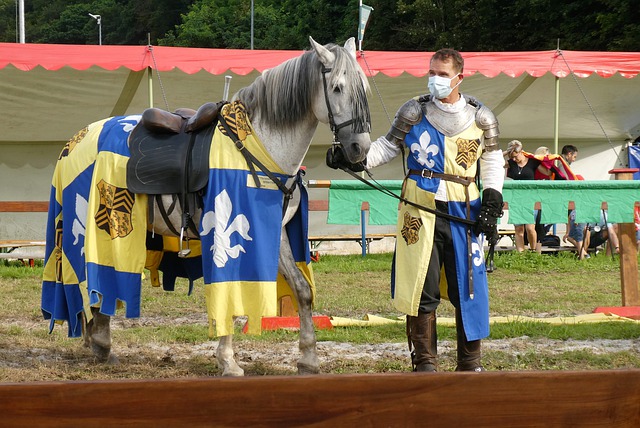 的最佳写照 的最佳写照