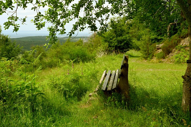 艺和个性展 艺和个性展