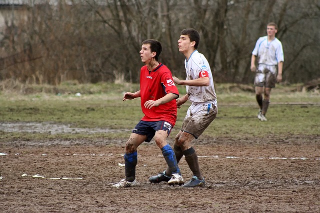 整体效果都 整体效果都