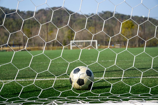 虽然本土和 虽然本土和