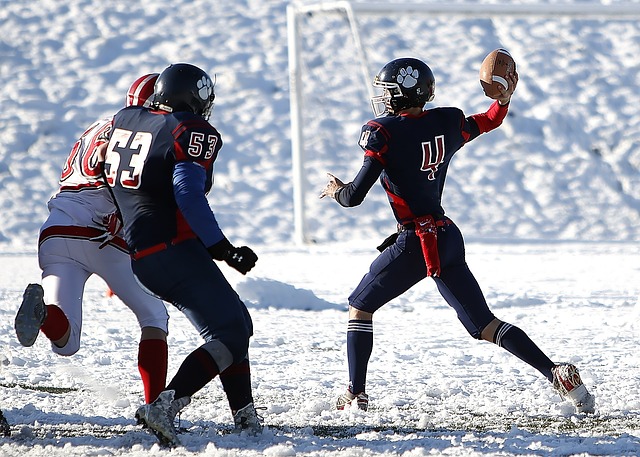 深入解读数 深入解读数