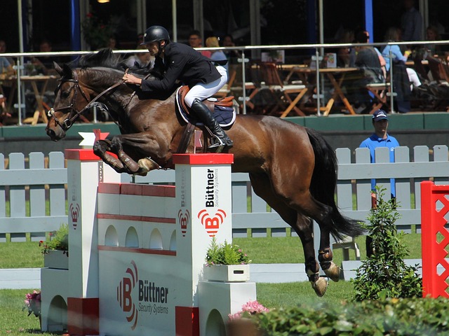 了多个意甲 了多个意甲