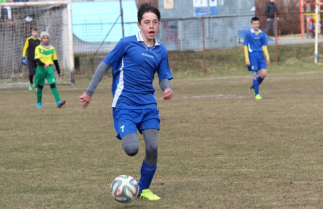 日耳曼有条 日耳曼有条