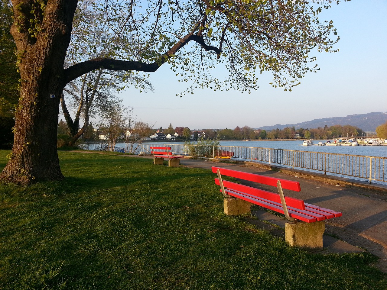 赛的走向 赛的走向