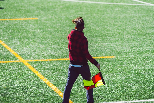 年这届世界 年这届世界